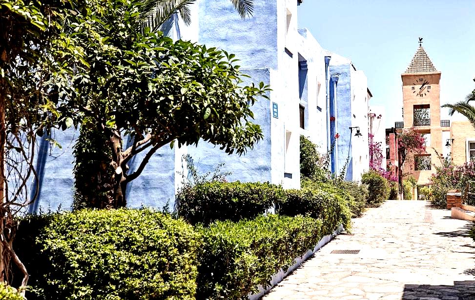 colorful courtyard with gardens