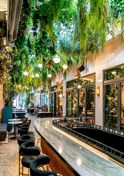 lush greenery above elegant hotel bar