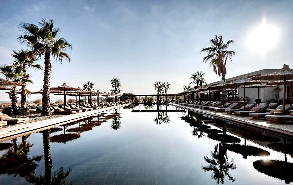 luxurious pool with sea view and palm trees