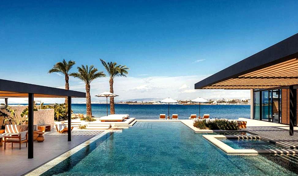 luxurious seaside pool with palm trees and loungers