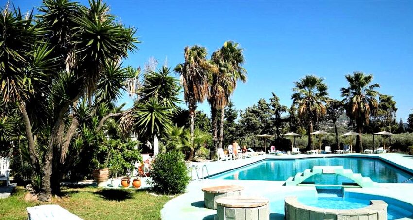 outdoor pool surrounded by palm trees and greenery