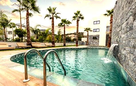 outdoor pool with palm trees and waterfall