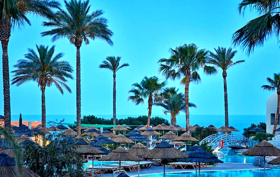 palm lined pool area with sea view