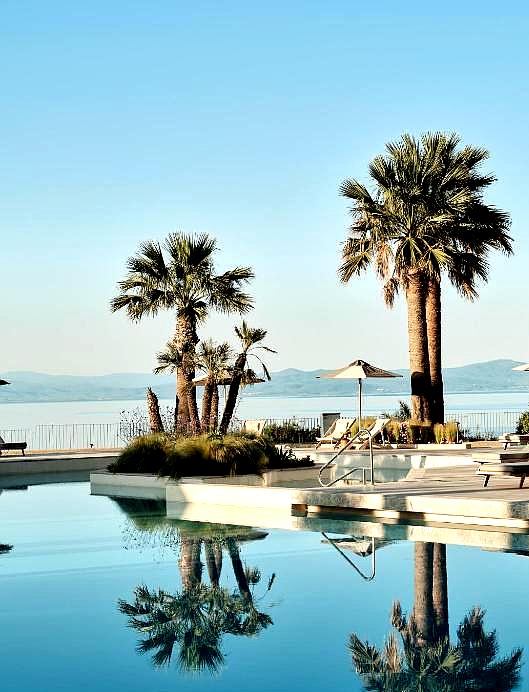 palm trees by seaside pool