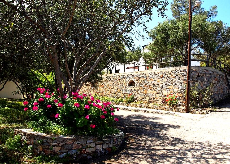 peaceful garden with vibrant flowers and stone wall