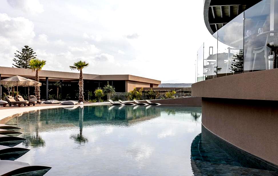 private pool area with palm trees and sun loungers