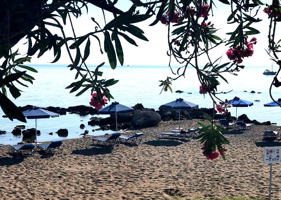 sandy beach with sun loungers under blue umbrellas