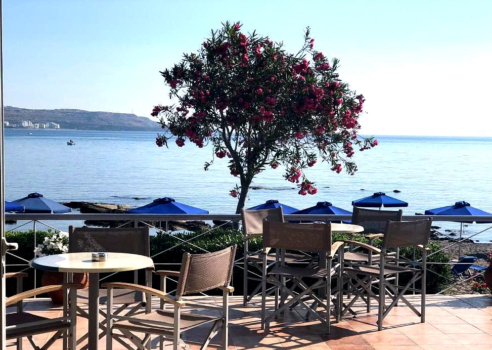 seaside terrace dining with pink flowering tree and sea view