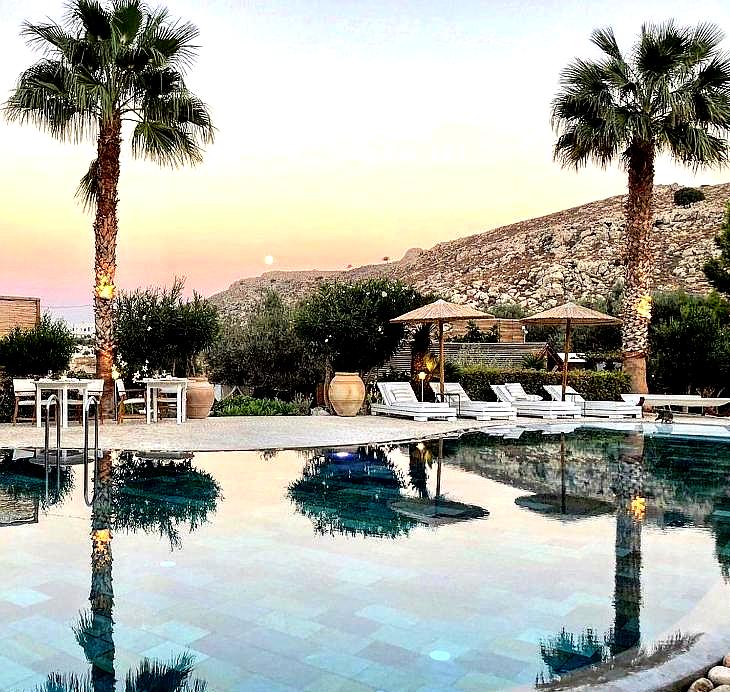 serene swimming pool with palm trees at sunset