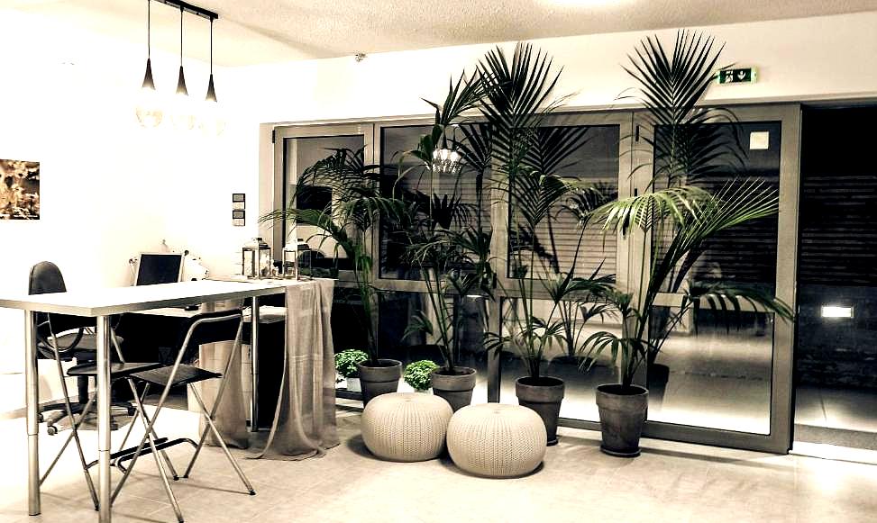 stylish hotel lobby with luxurious tropical plant decor and modern seating