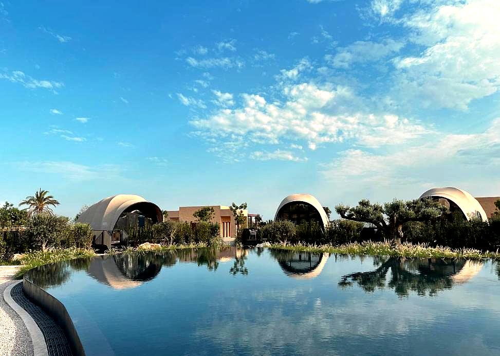 tranquil pool surrounded by nature