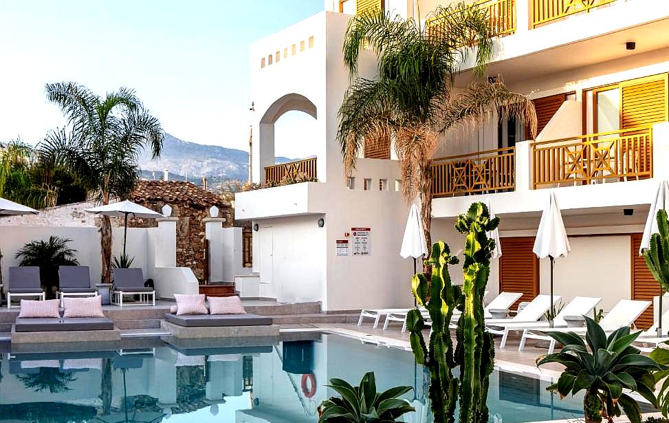 tranquil poolside with cactus garden and lounge beds