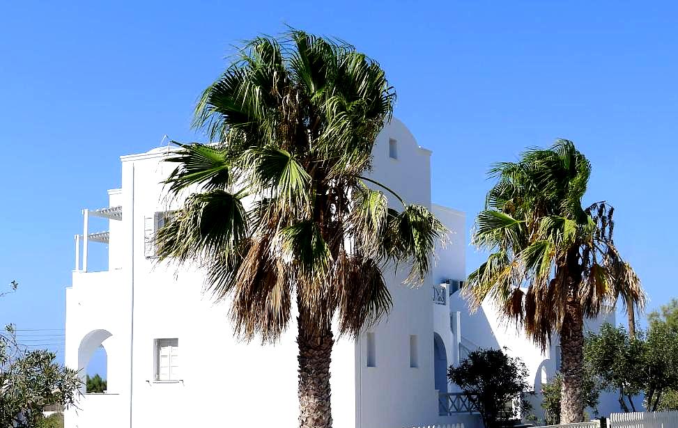 white building with palm trees