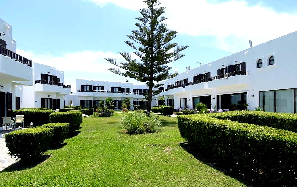 white buildings surrounding green lawn with hedges and tall tree in center